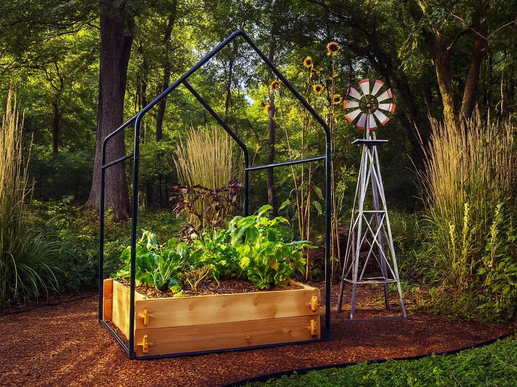 Raised Garden Bed Ideas: Layout, Planting & Design
