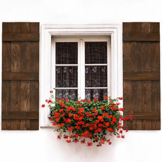 Wood Shutters