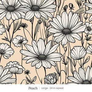 Sadie wallpaper in Peach, large 24 in repeat, white daisies outlined in black on peach