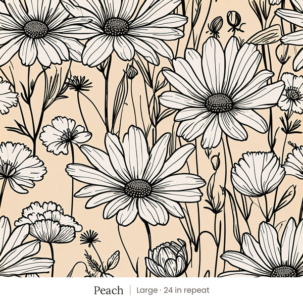 Sadie wallpaper in Peach, large 24 in repeat, white daisies outlined in black on peach