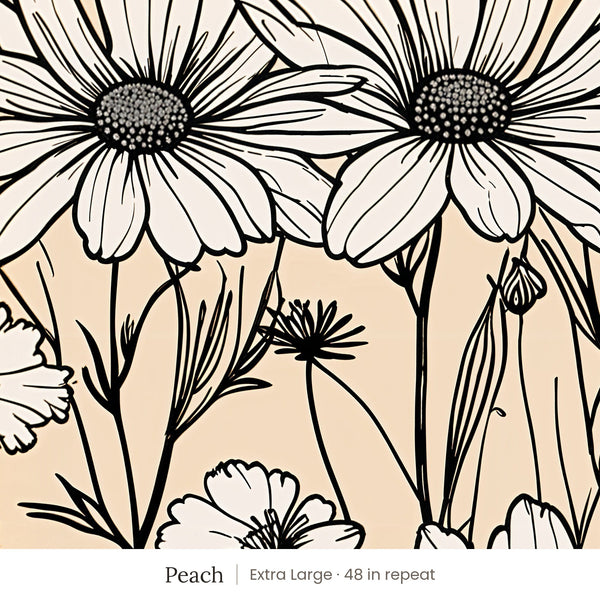 Sadie wallpaper in Peach, extra large 48 in repeat, white daisies outlined in black on peach