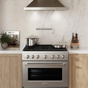 ZLINE 36'Paramount Dual Fuel Range Stainless Steel, Brass Burner, SDR-BR-36 - view 15