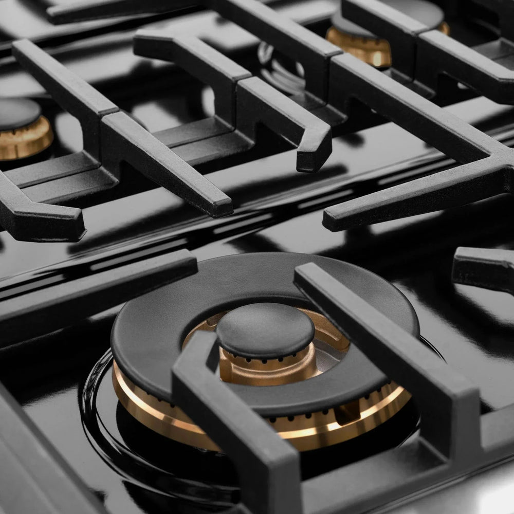 ZLINE 48'Paramount Dual Fuel Range Stainless Steel, Brass Burner, SDR-BR-48