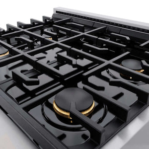 ZLINE 30'Gas Range, Convection Gas Oven , DuraSnow® Brass Burners, SGRS-BR-30 - front view