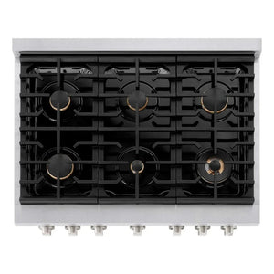 ZLINE 36'Gas Range, Convection Gas Oven , DuraSnow® Brass Burners, SGRS-BR-36 - close-up