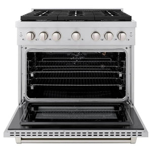 ZLINE 36'Paramount Dual Fuel Range Stainless Steel, Brass Burner, SDR-BR-36 - close-up