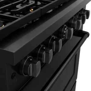 ZLINE 36'Paramount Dual Fuel Range Black Stainless Steel, Brass Burners SDRB-BR-36 - dimensions