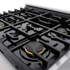 ZLINE 30'Paramount Dual Fuel Range Stainless Steel, Brass Burner, SDR-BR-30 - alternate view