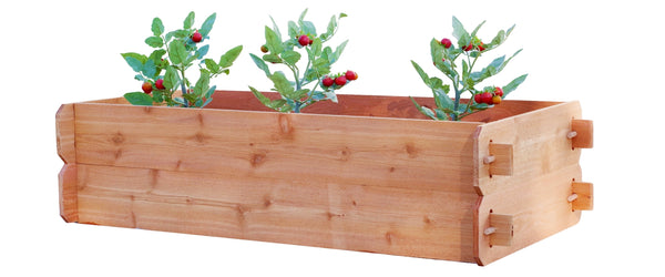 Timberlane Gardens Raised Garden Bed Kit Double Deep (Two 2x4) Select Cedar - front view