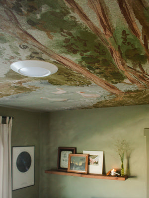 Nils Wallpaper by Celeste Clark