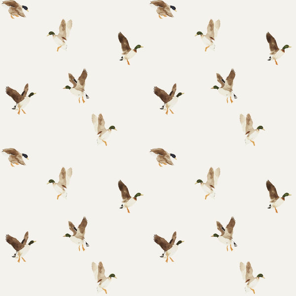 Melvin Wallpaper