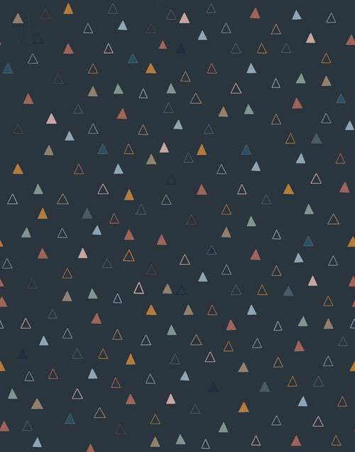 Nolan Wallpaper by Morgan Casteel