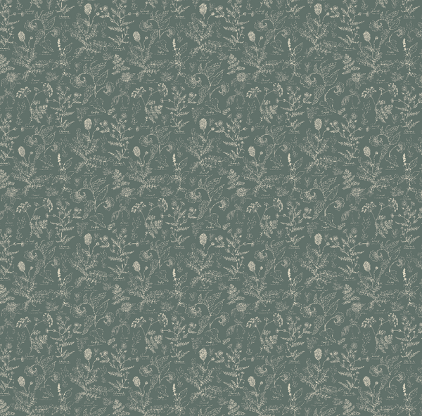 Caraway Wallpaper by Danelys Sidron