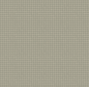 Hudson Wallpaper by Daphne and Sage