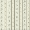 Lottie Wallpaper by Ali Anni