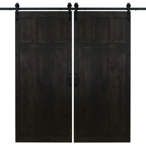 Modern Black Barn Door