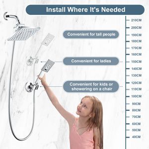 Dual Shower Head-Rain Shower Head with Handheld Shower Set, Diverter - close-up