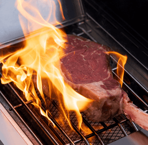 Eminence 405 | Chic Clearview® Smart Stainless Gas Grill - detail view