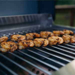 G22 | Stainless Tabletop Propane Gas Grill - view 12
