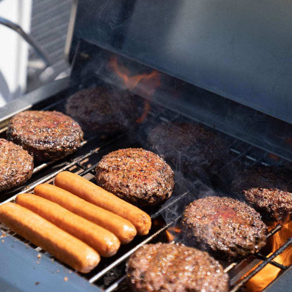 G22 | Stainless Tabletop Propane Gas Grill - view 15