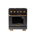 Kucht Gemstone Professional 30 in. 4.2 cu. ft. Natural Gas Range with Sealed Burners and Convection Oven in Titanium Stainless Steel KEG303