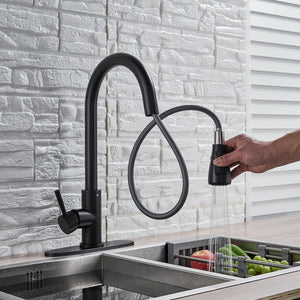 Matte Black Or Brushed Gold Pull Out Spray Kitchen Sink Faucet - detail view