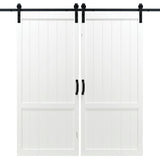 Double White Country Vintage Sliding Barn Door