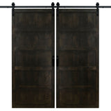 Double Midnight Black 5 Panel Barn Door