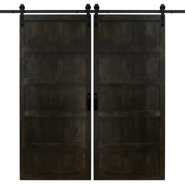 Double Midnight Black 5 Panel Barn Door