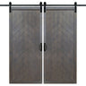 Double Ash Gray Herringbone Barn Door