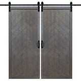 Double Ash Gray Herringbone Barn Door