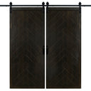 Double Midnight Black Herringbone Barn Door