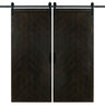 Double Midnight Black Herringbone Barn Door