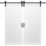 Double White Herringbone Sliding Barn Door